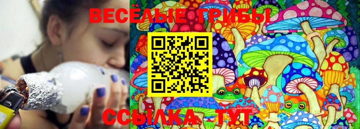Людиново  Галлюциногенные грибы Psilocybe  Галлюциногенные грибы GOLDEN TEACHER  Вход с VPN 